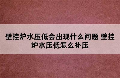 壁挂炉水压低会出现什么问题 壁挂炉水压低怎么补压